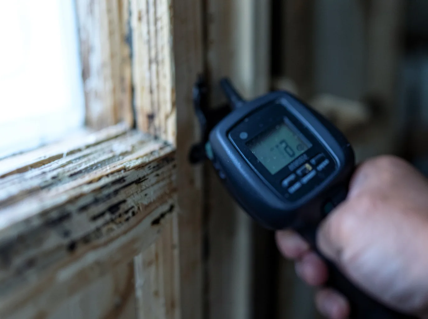 Moisture Inspection And Documentation in Bonnieville, KY
